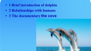 海洋生物英语介绍