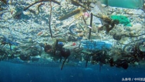 海洋生态环境现状相关资料