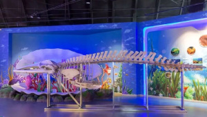 海洋科普馆日照