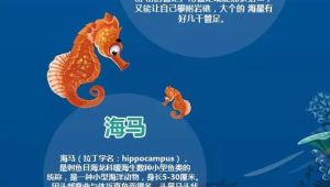 海洋科普知识