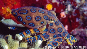 已知海洋生物有多少种