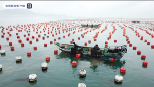 海洋生态文明建设概念股