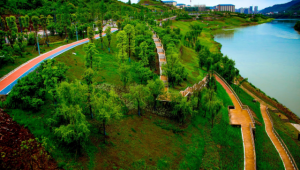 海洋生态修复资质