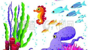 海洋生物图片