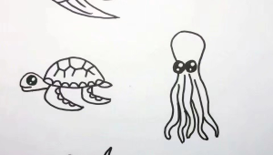 海洋生物简笔画海底世界