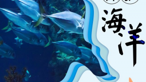 海洋科普作品创意说明