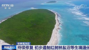 海洋生态保护修复五大工程
