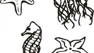 深海海洋生物简笔画