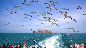 海洋生态文明建设的原则与内容