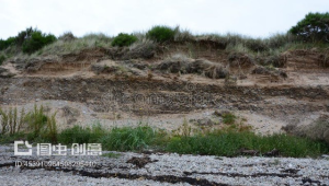 海洋地质专业有前途吗