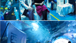 海洋科普文化主题活动方案