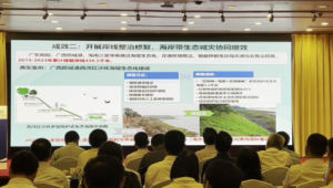 海洋生态修复案例