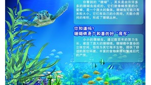海洋科普节展板主题是什么