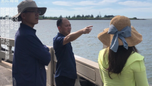 海洋生态环境保护为主题的调研方案