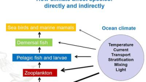 海洋生态系统包括哪三类
