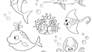 海洋生物简笔画动物