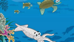 海洋科普知识问答