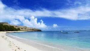 海洋生态修复资金管理办法