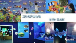 海洋科普节展板主题怎么写