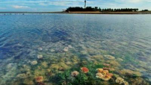 海洋生态保护区