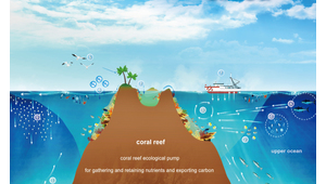 海洋生态系统的英文