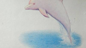 海洋科普绘画简单又漂亮