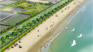 海洋生态保护修复