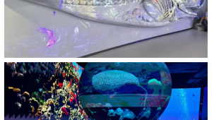 海洋科普馆观后感